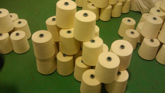 Résistant aux produits chimiques et à la lumière du soleil Résistant aux flammes Nombre de fils Ne38 2 Idéal pour les vêtements de sécurité et les textiles ignifuges