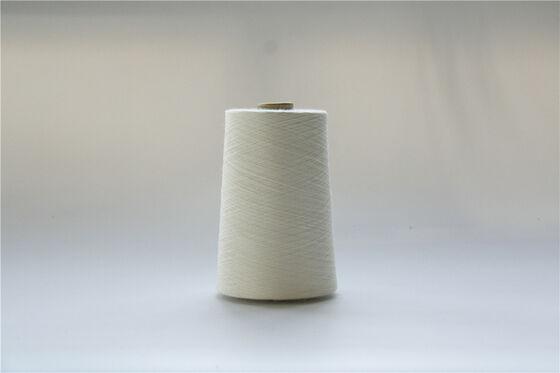 Haute Durabilité et Résistance à l'Abrasion Fil Modacrylique Faible Absorption d'Humidité Fibre Non Élastique Idéal pour les Applications Textiles