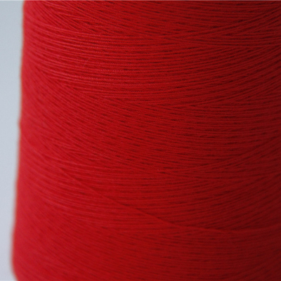 Fil à coudre 100% méta-aramide 30/3 pour uniformes FR